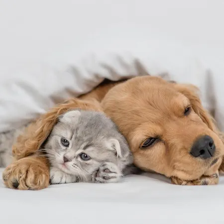 호텔 Pestana Bahia Nature & 4*