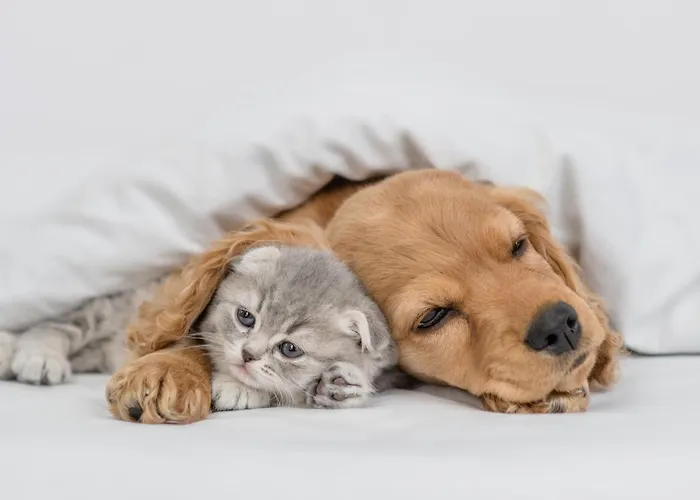 Hotel Pestana Bahia Nature & 4*